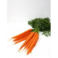 Karotten mit Grün (BUND)